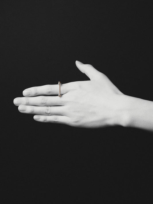 LR-RG-IDPSICOM-ORJ-H2